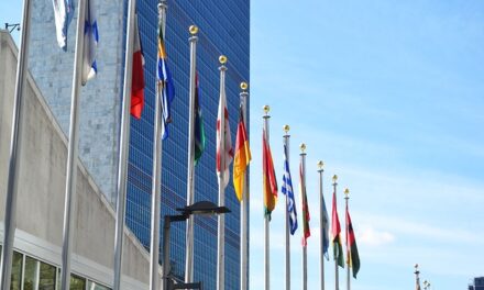 ONU espera un crecimiento “favorablemente moderado”