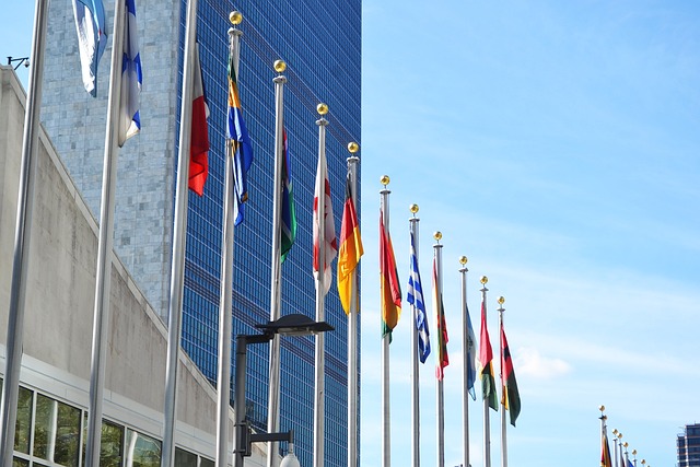 ONU espera un crecimiento “favorablemente moderado”