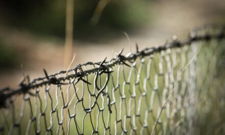 Cinco desafíos que marcarán el futuro de América Latina, según el Banco Mundial